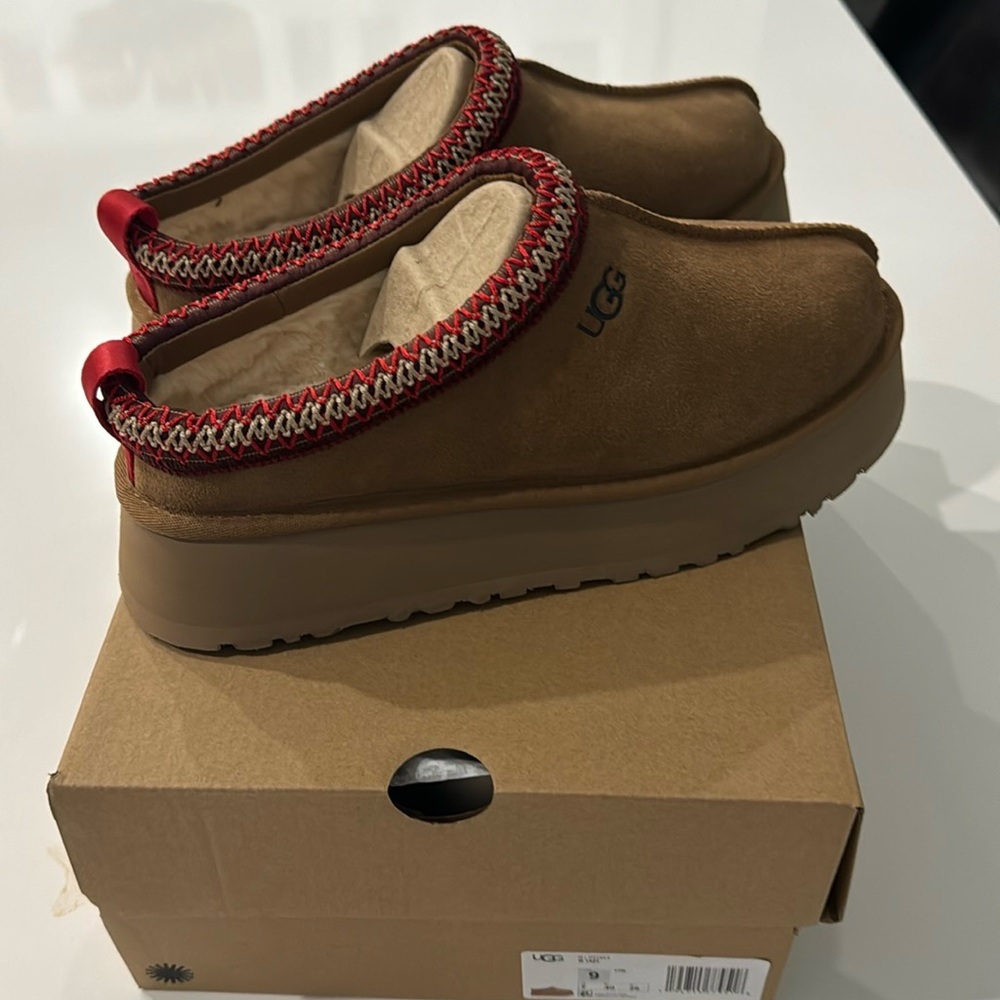 Chestnut Tazz Slippers